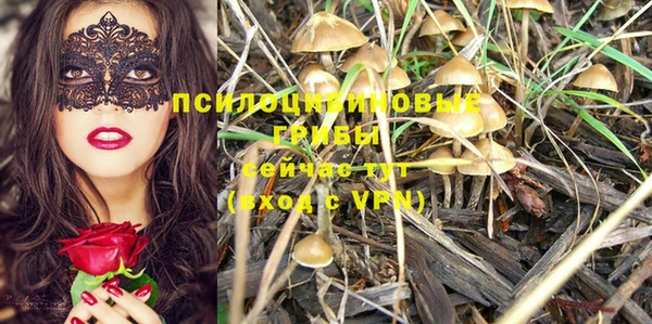 мяу мяу мука Баксан