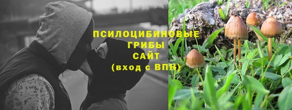 мяу мяу мука Баксан