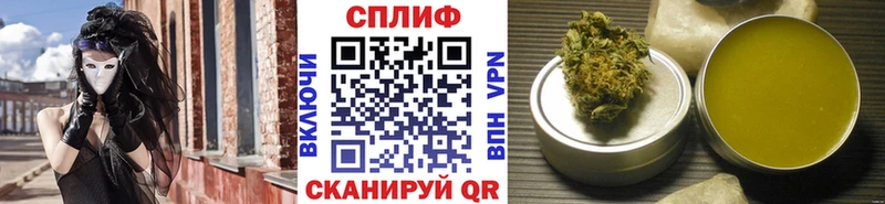 Конопля сатива  Шлиссельбург 